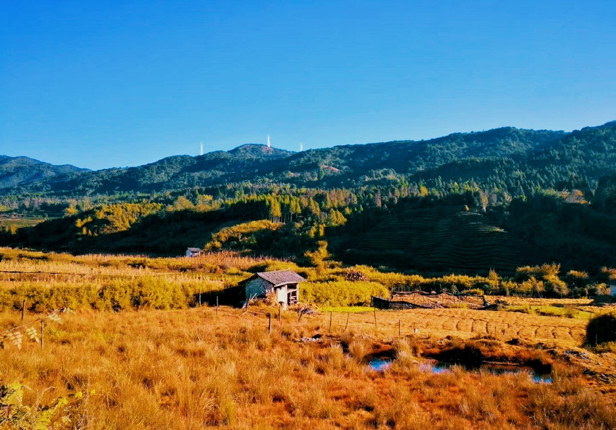 保山篇-高黎贡山自然公园 - 昀视角