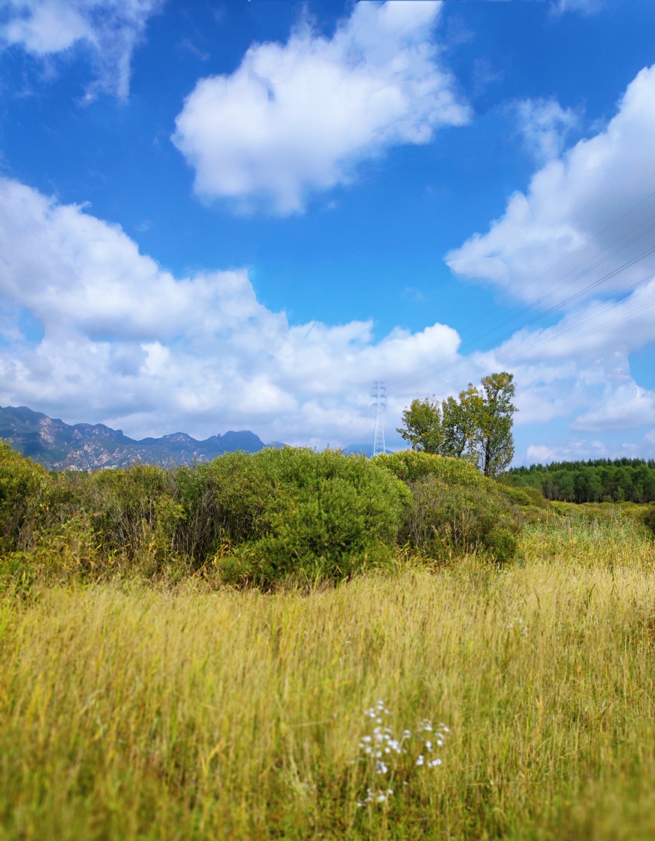 北京-阪泉公园 - 昀视角 - 图虫