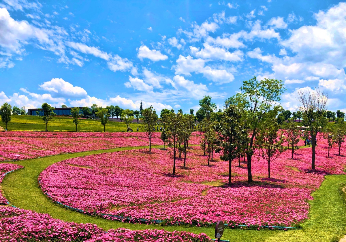 红河太平湖森林公园