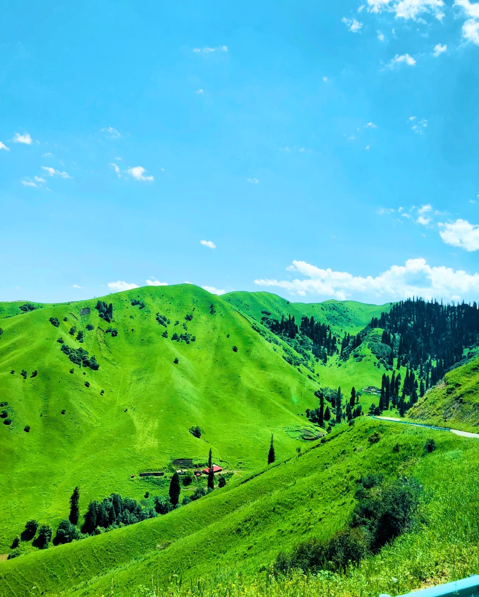 伊利那拉提草原