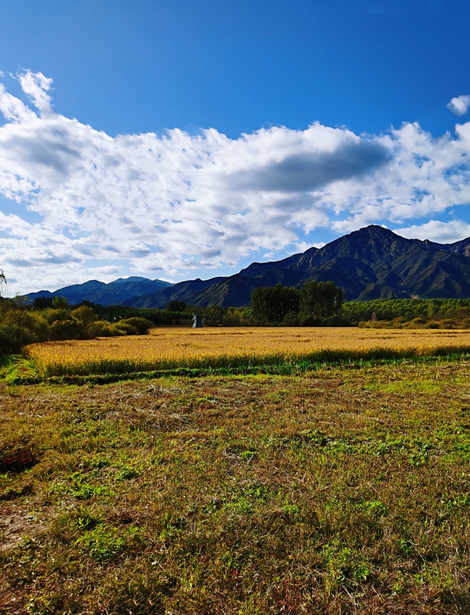北京-阪泉公园 - 昀视角 - 图虫