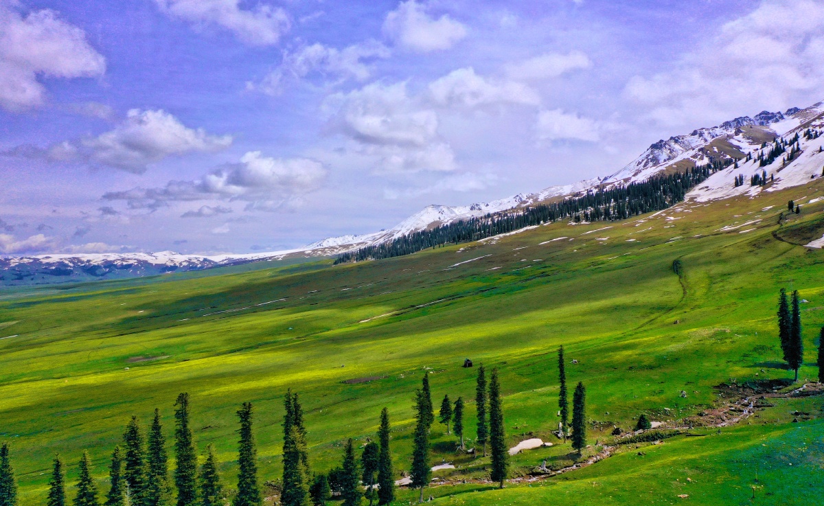 伊利那拉提草原