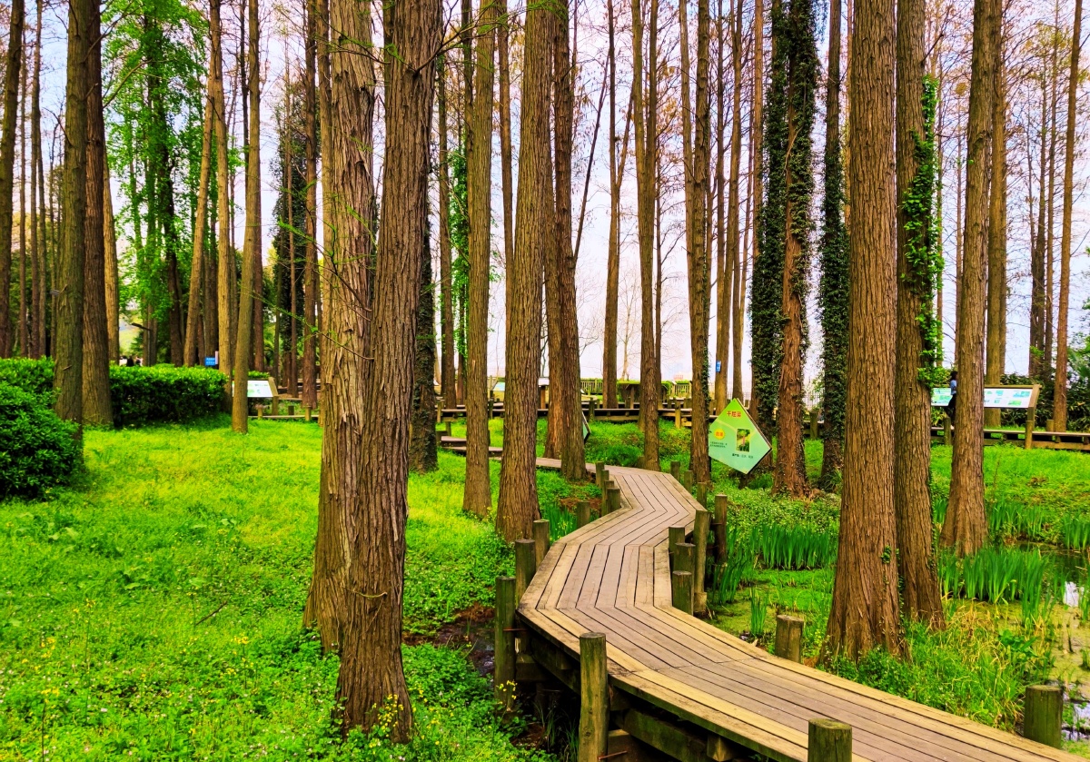 武汉中国科学院武汉植物园