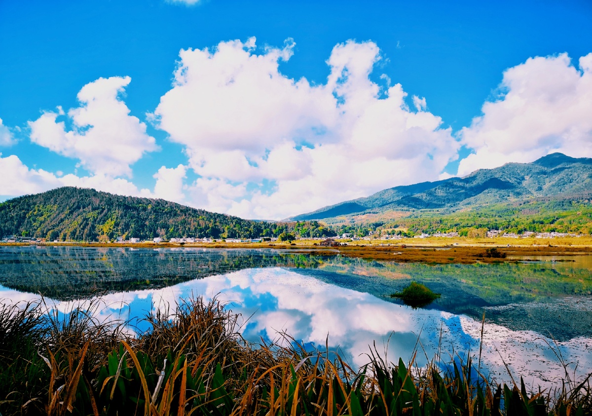 保山篇腾冲北海湿地公园