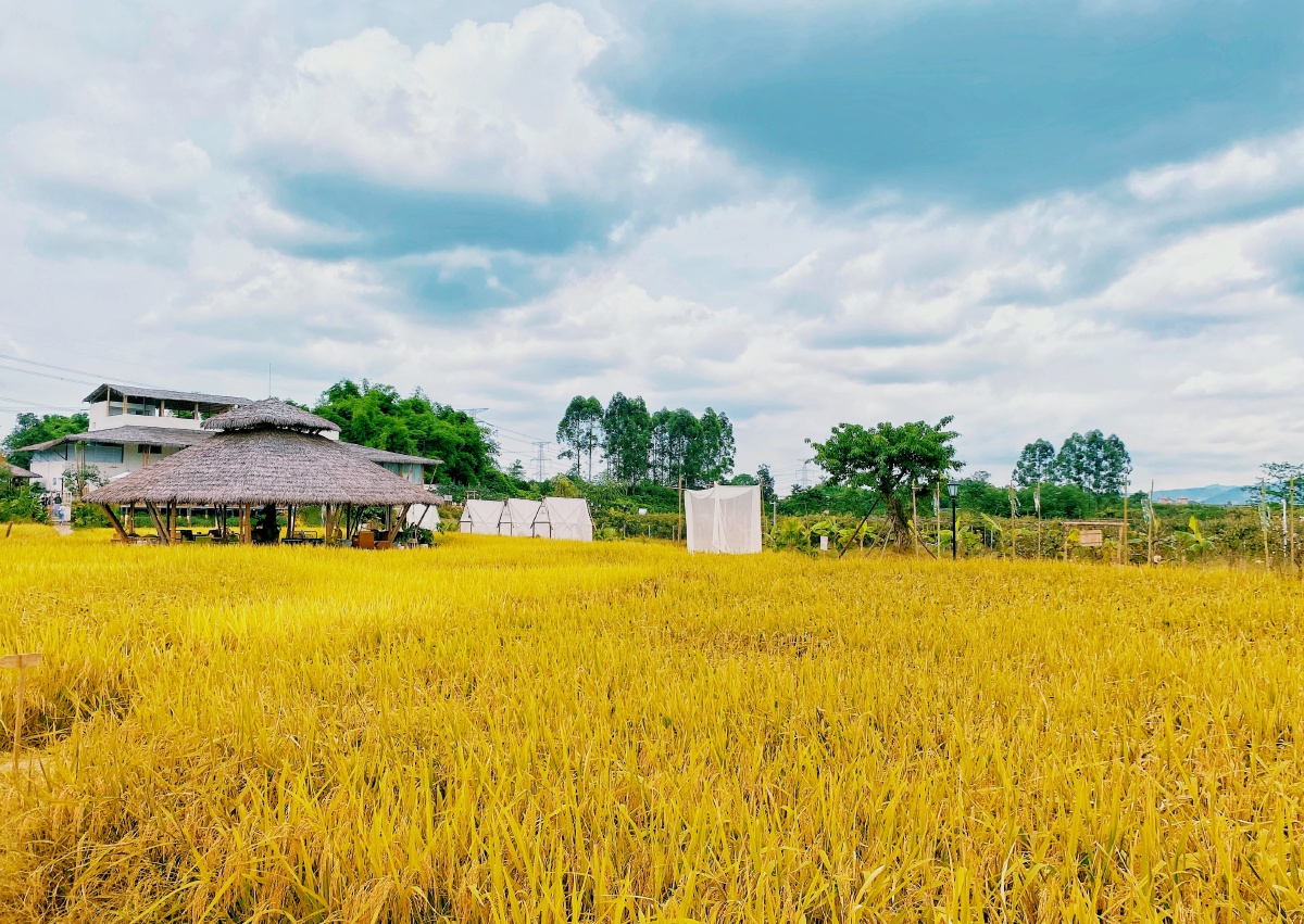 成都小草垛田野农场