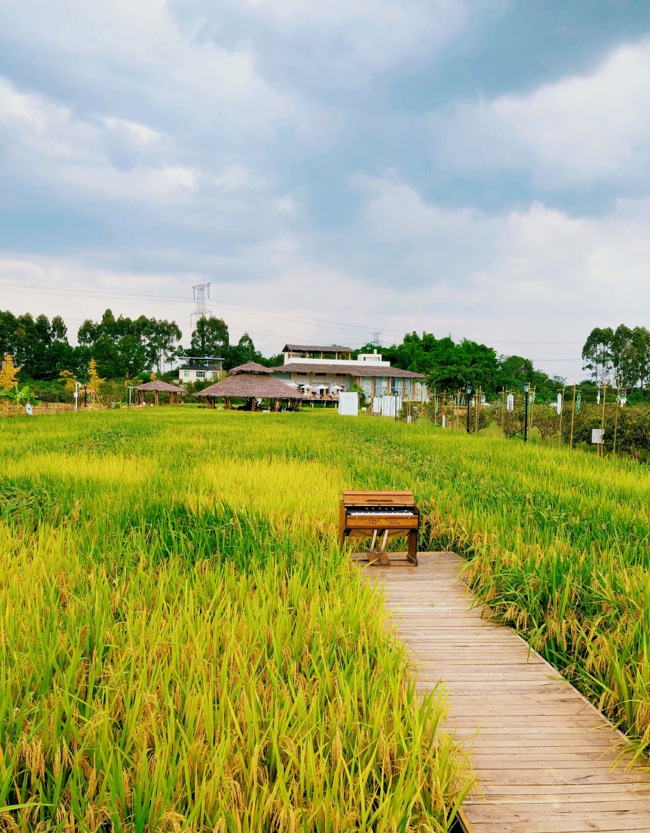 成都小草垛田野农场