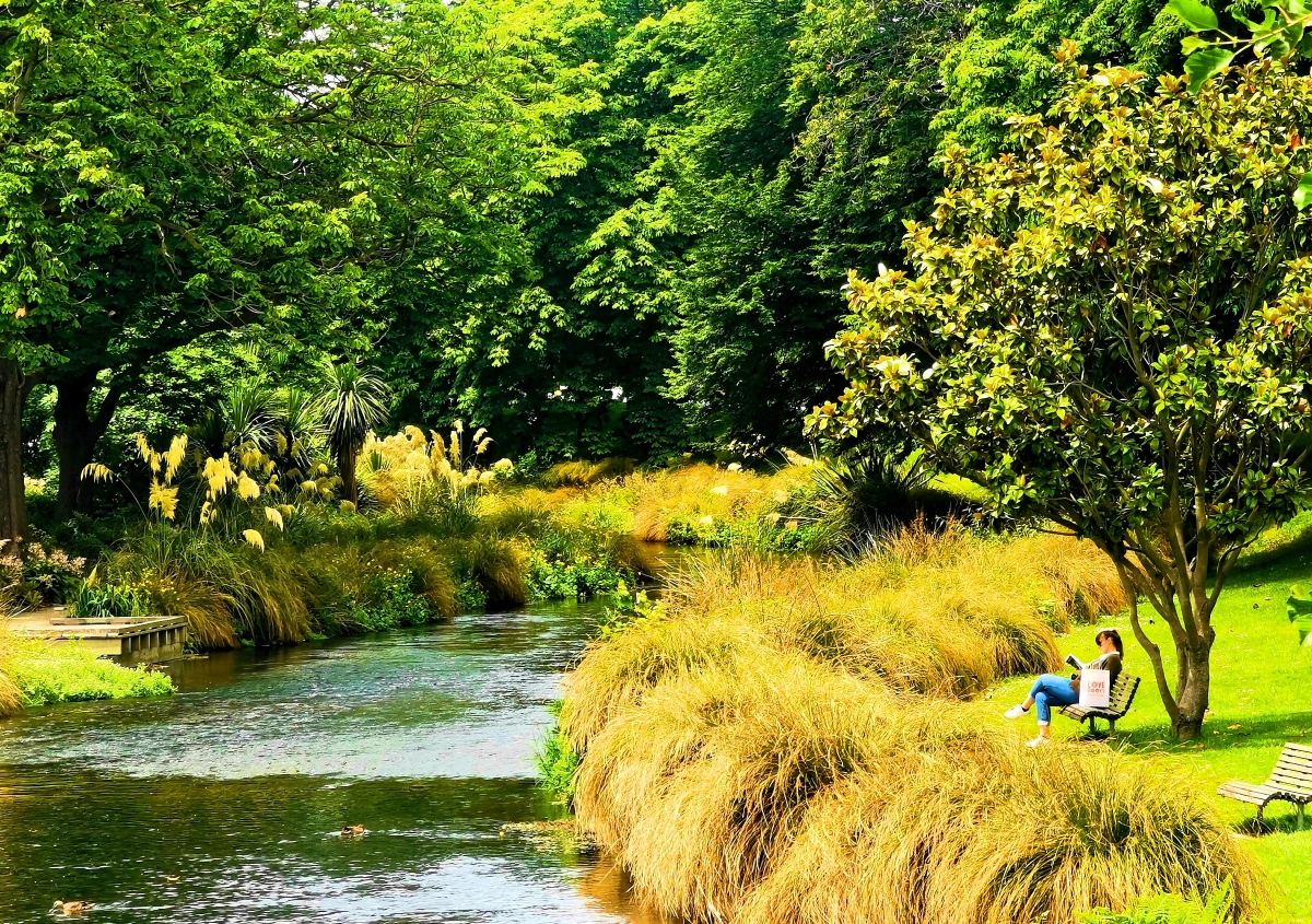 新西兰哈格雷公园