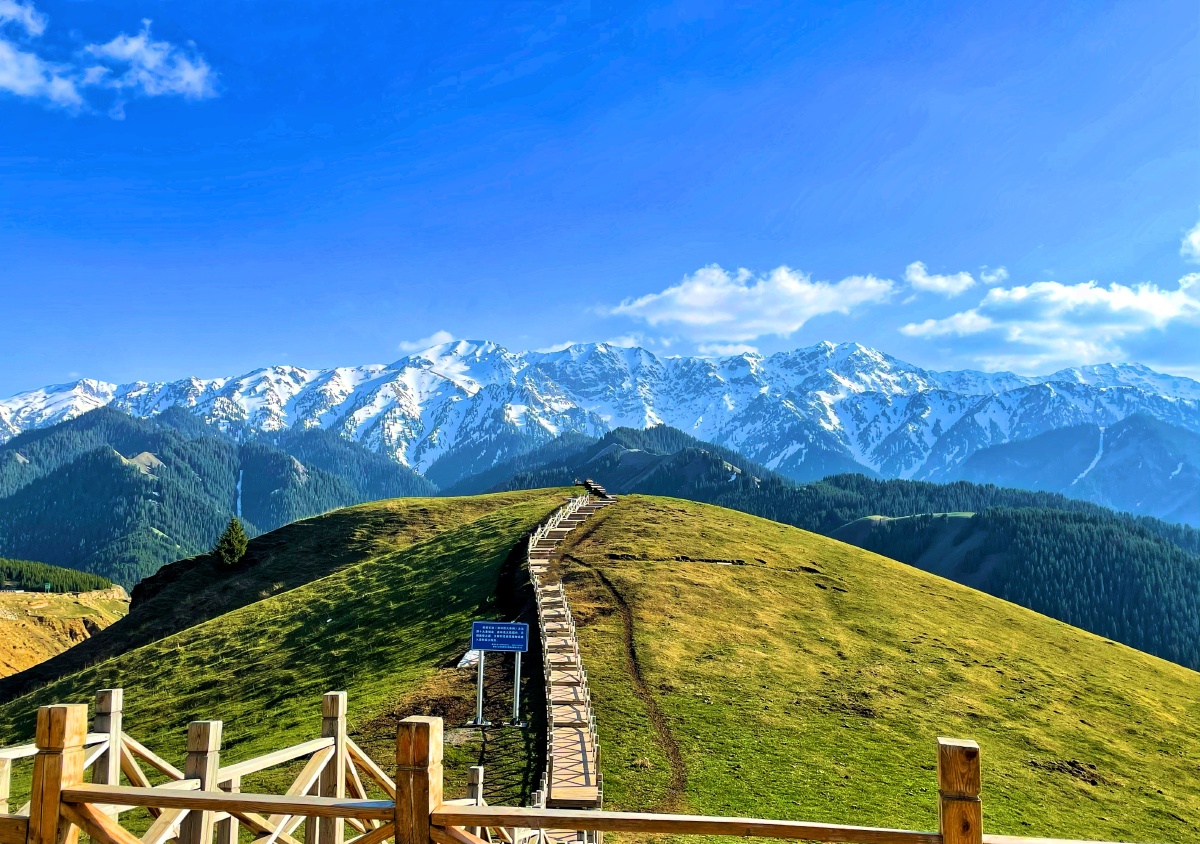 伊犁果子沟赛里木湖