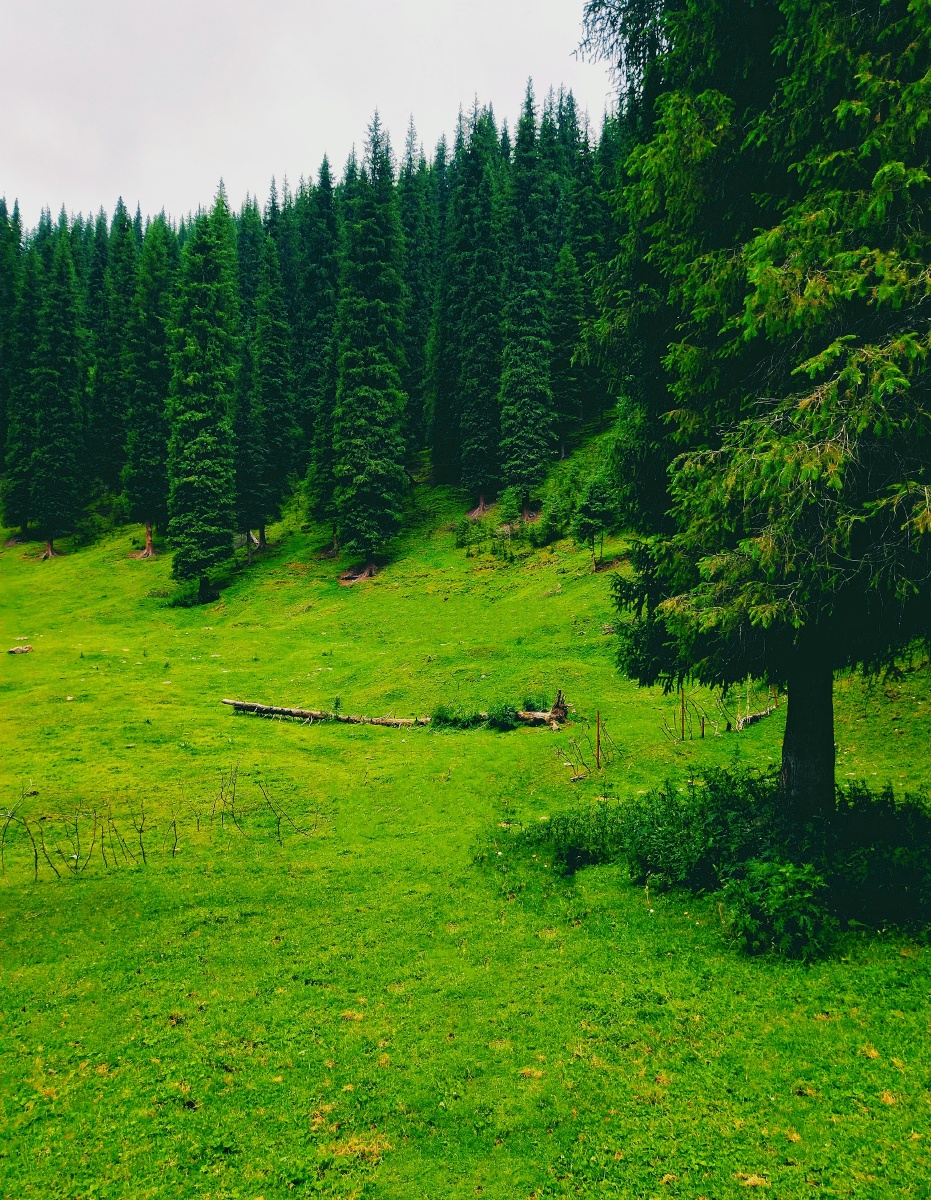 乌鲁木齐南山牧场风景区