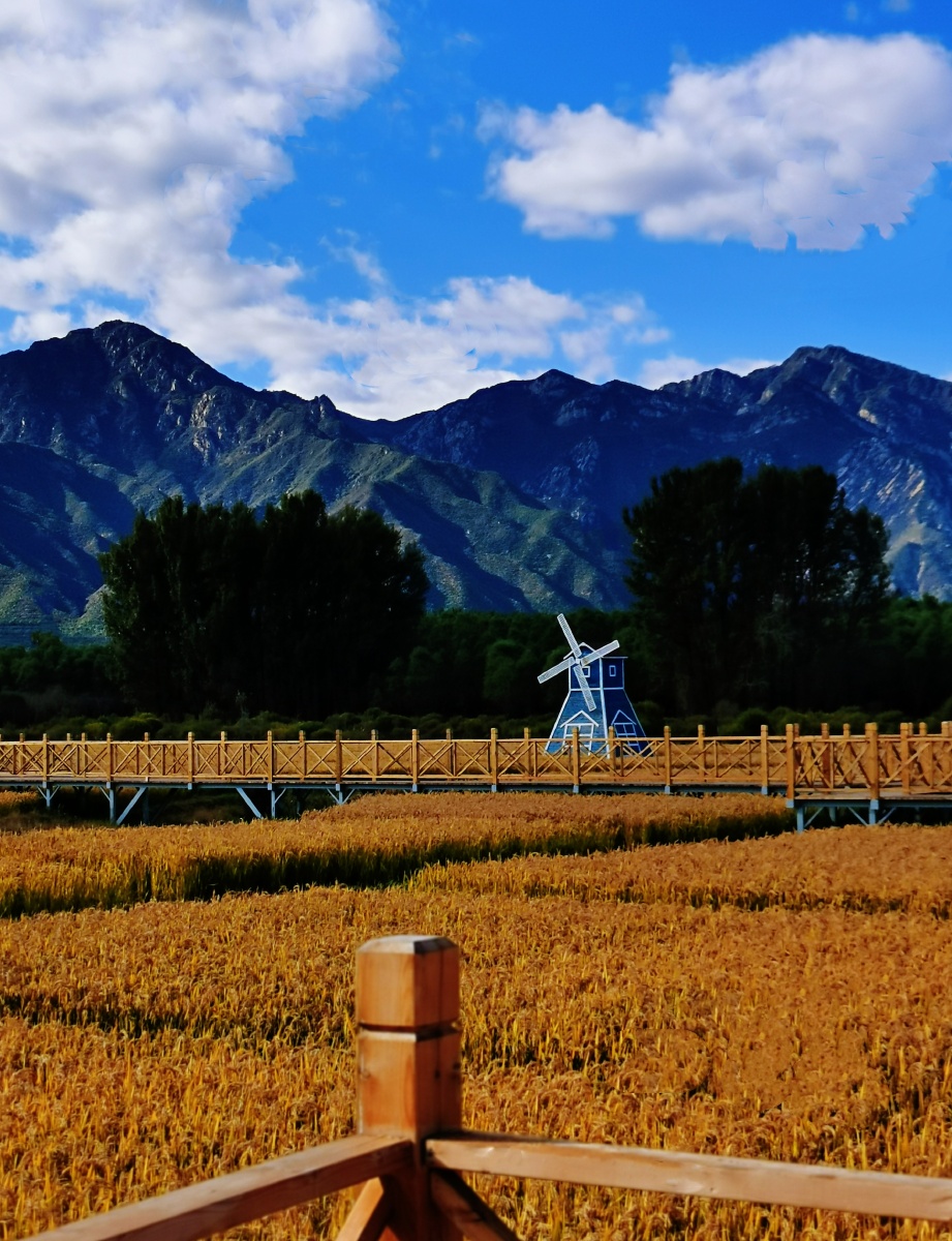 北京-阪泉公园 - 昀视角 - 图虫