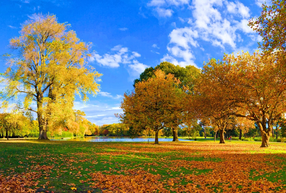 新西兰哈格雷公园