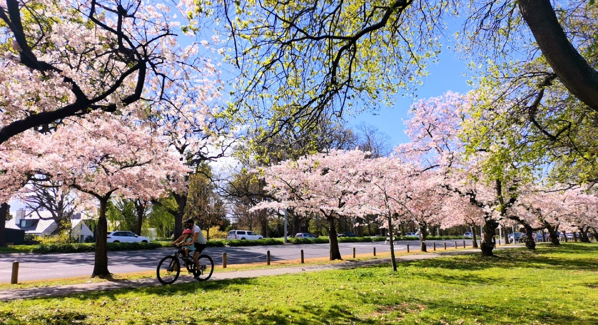 新西兰海格利公园