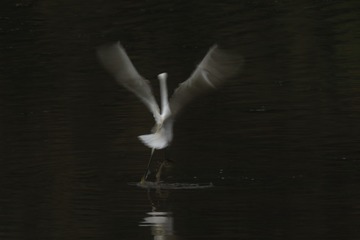 1087802