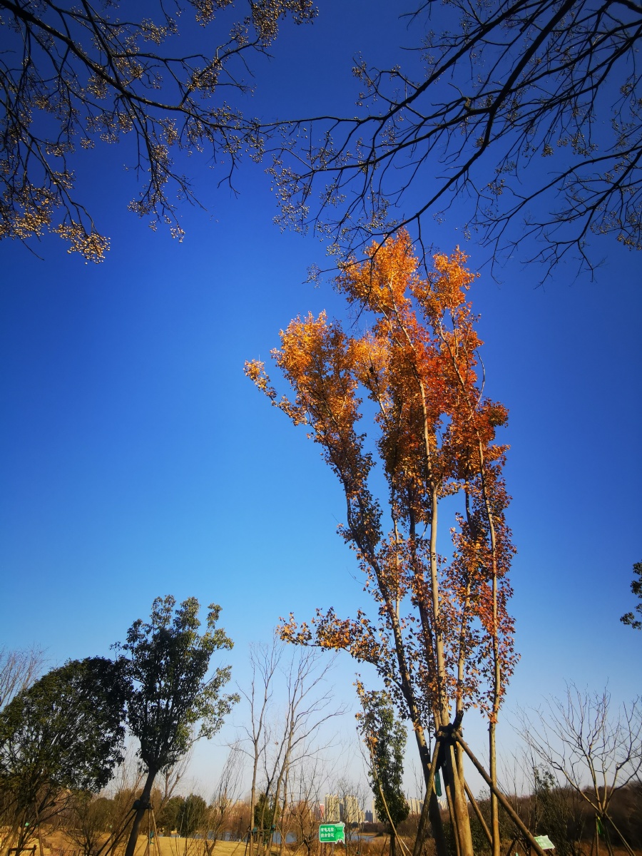冬天晴朗的天空