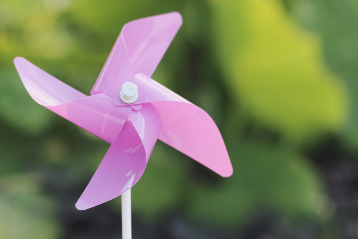 公园微信扫码送的淡紫色的风车 关注的用户叫 「新欢不是