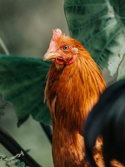 1922788