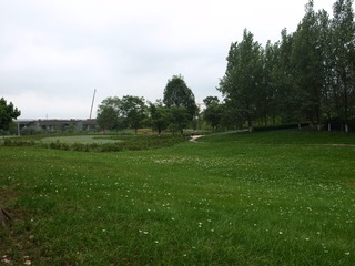 370006