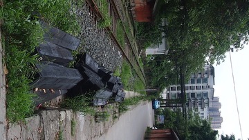 266023