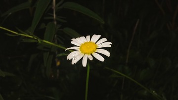 344268