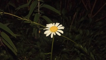 344267