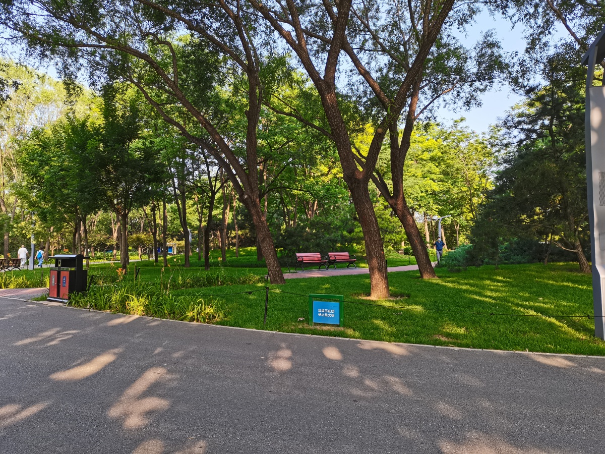 绿草茵茵的海淀公园草坪,附近的居民常到这里休闲小憩.