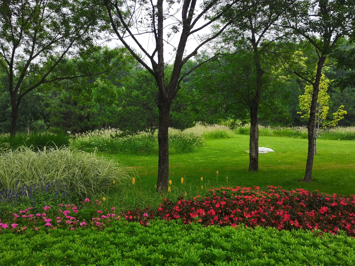 海淀公园花草