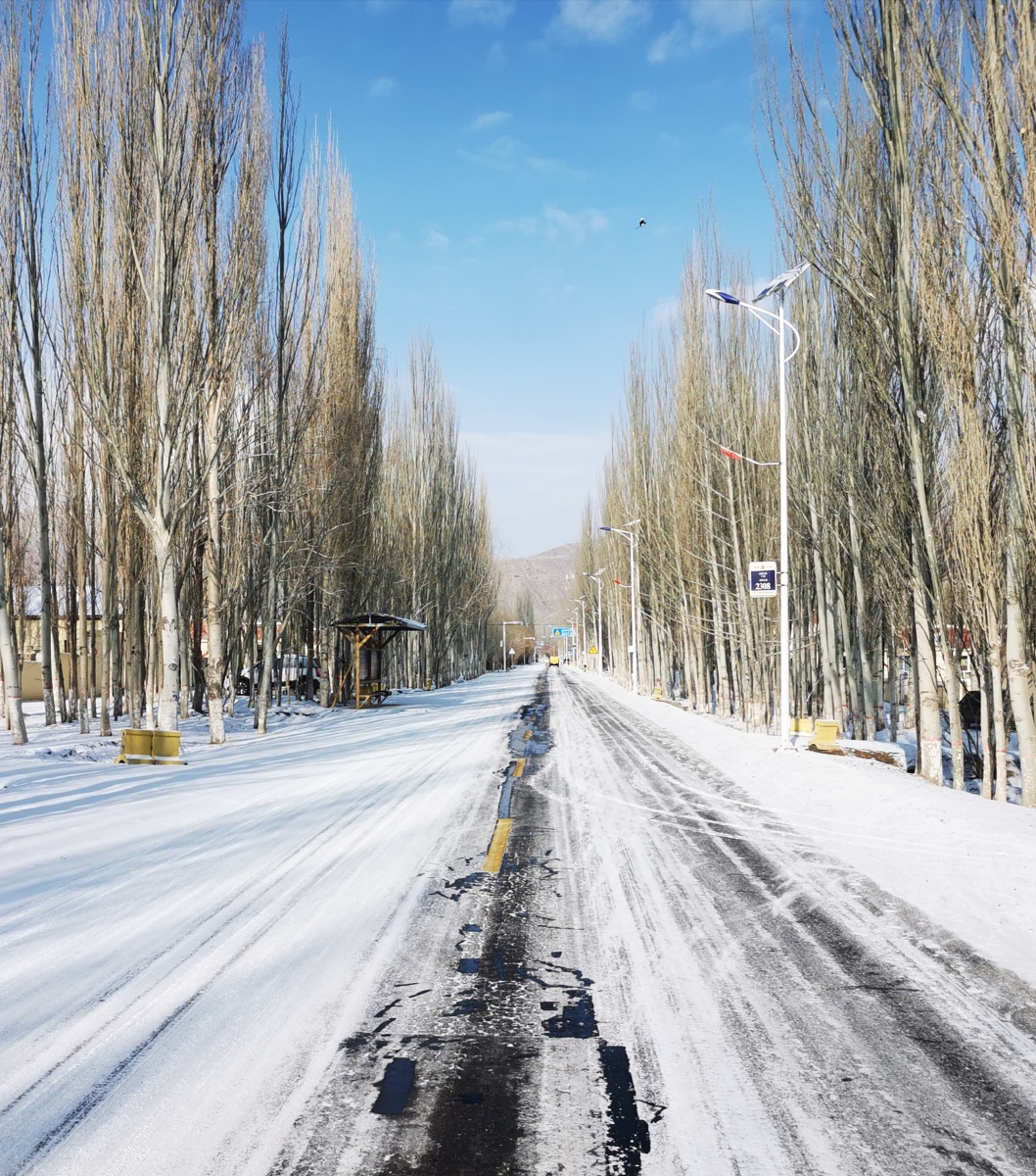 北方的初冬最能表达新疆情怀的还是笔直的白杨树