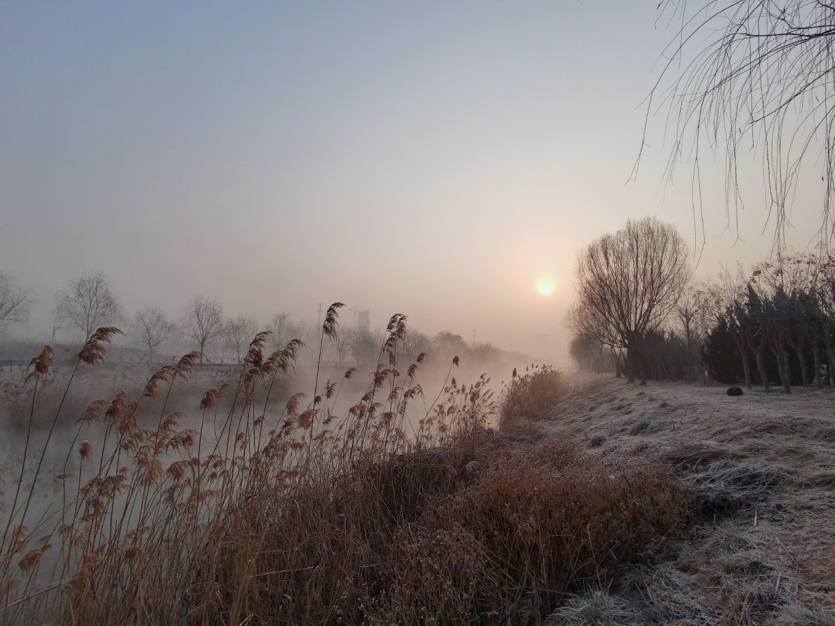 河边的芦苇和干枯的树枝以及满地的冰霜,被初升的太阳所映照,给寒冷的