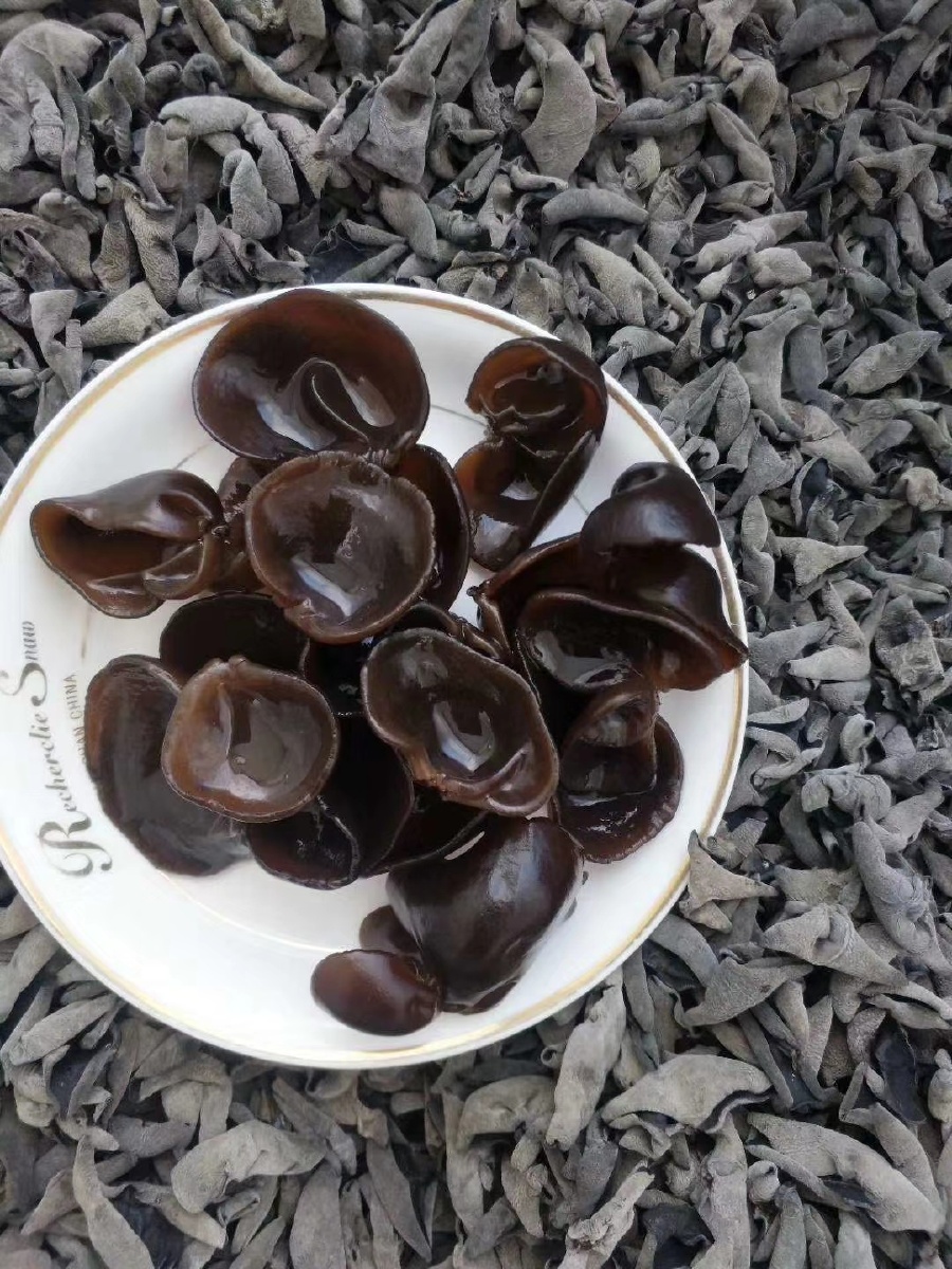 东北特产黑木耳秋木耳木耳中的精品