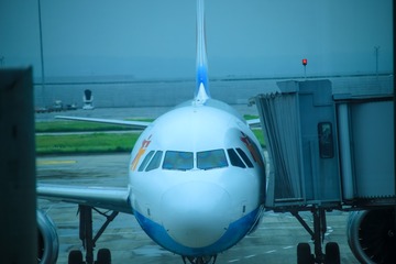 89021