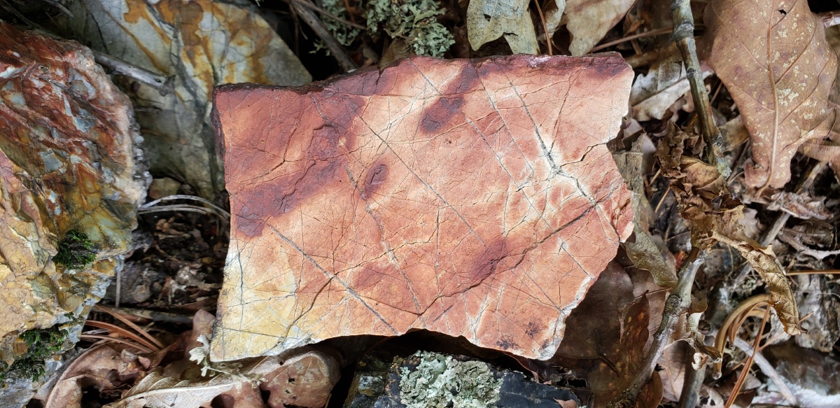 喜欢这些石头的花纹