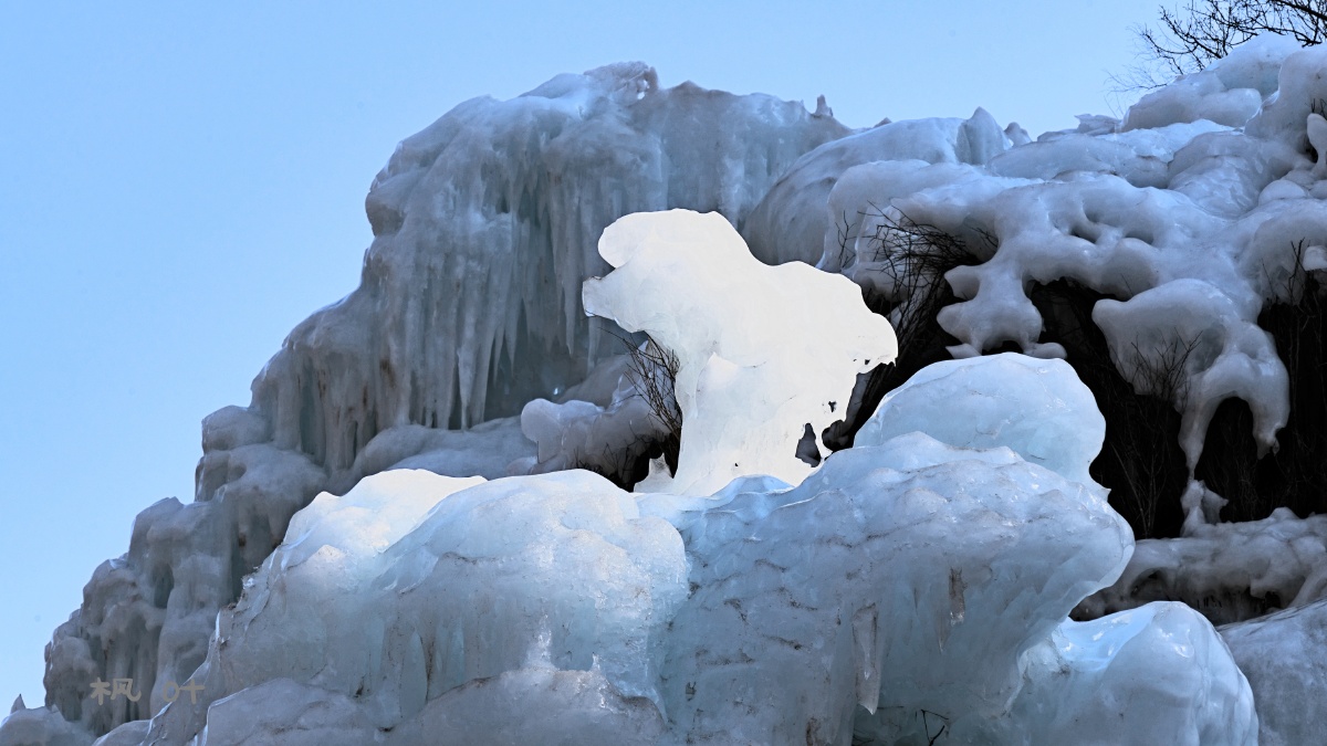 寒冰中的小山羊