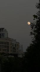 06921FBB-533B-45FA-B8C1-55469CE7AD17/L0/001