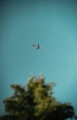 1000053282