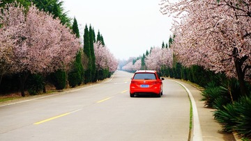 花路