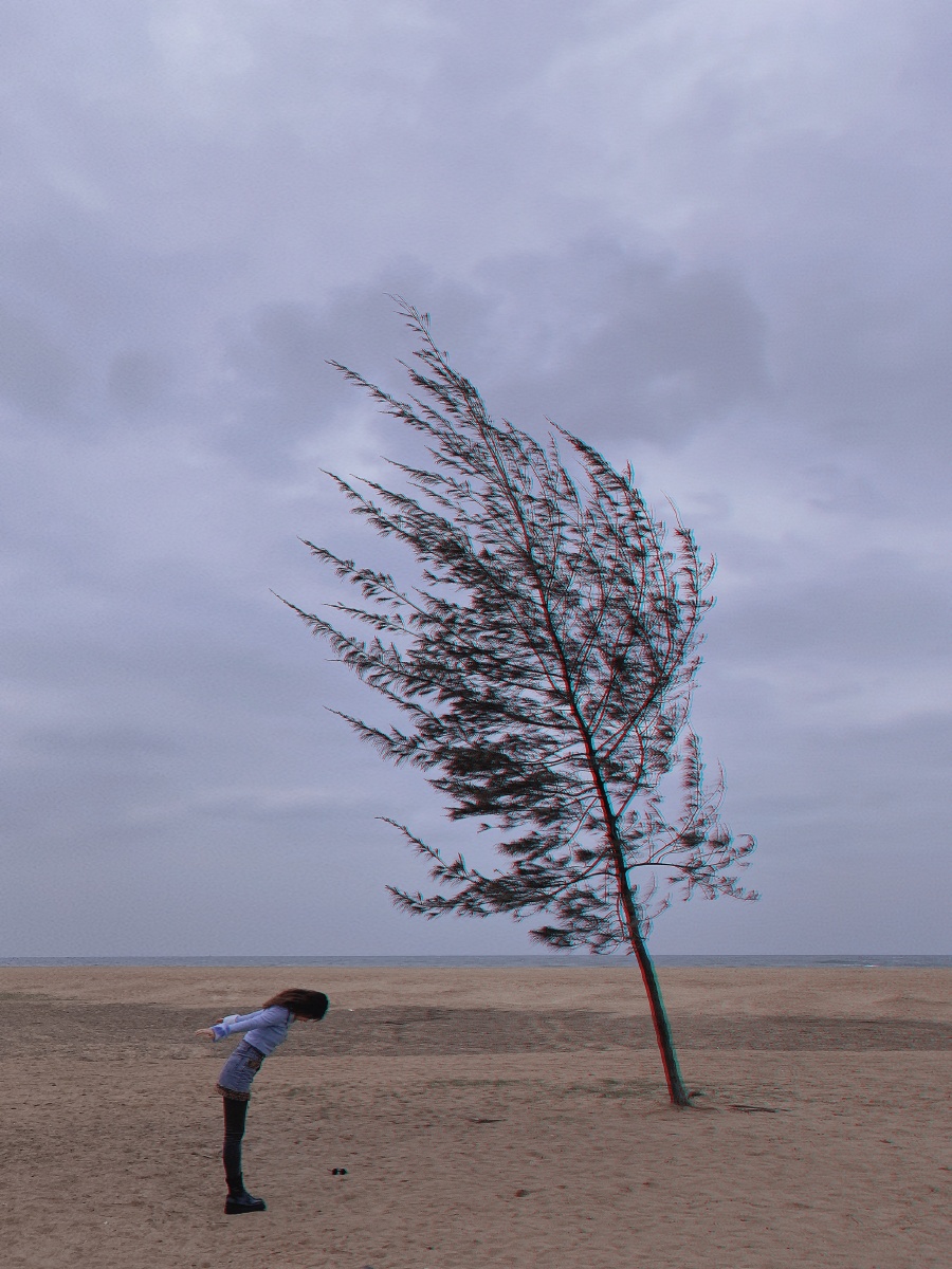 生命的力量在于逆风起舞