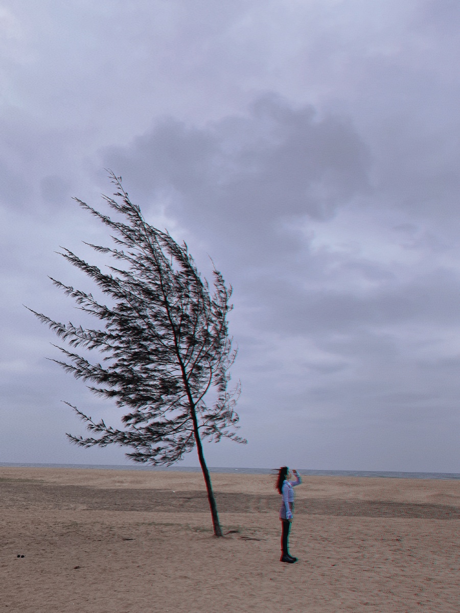 生命的力量在于逆风起舞