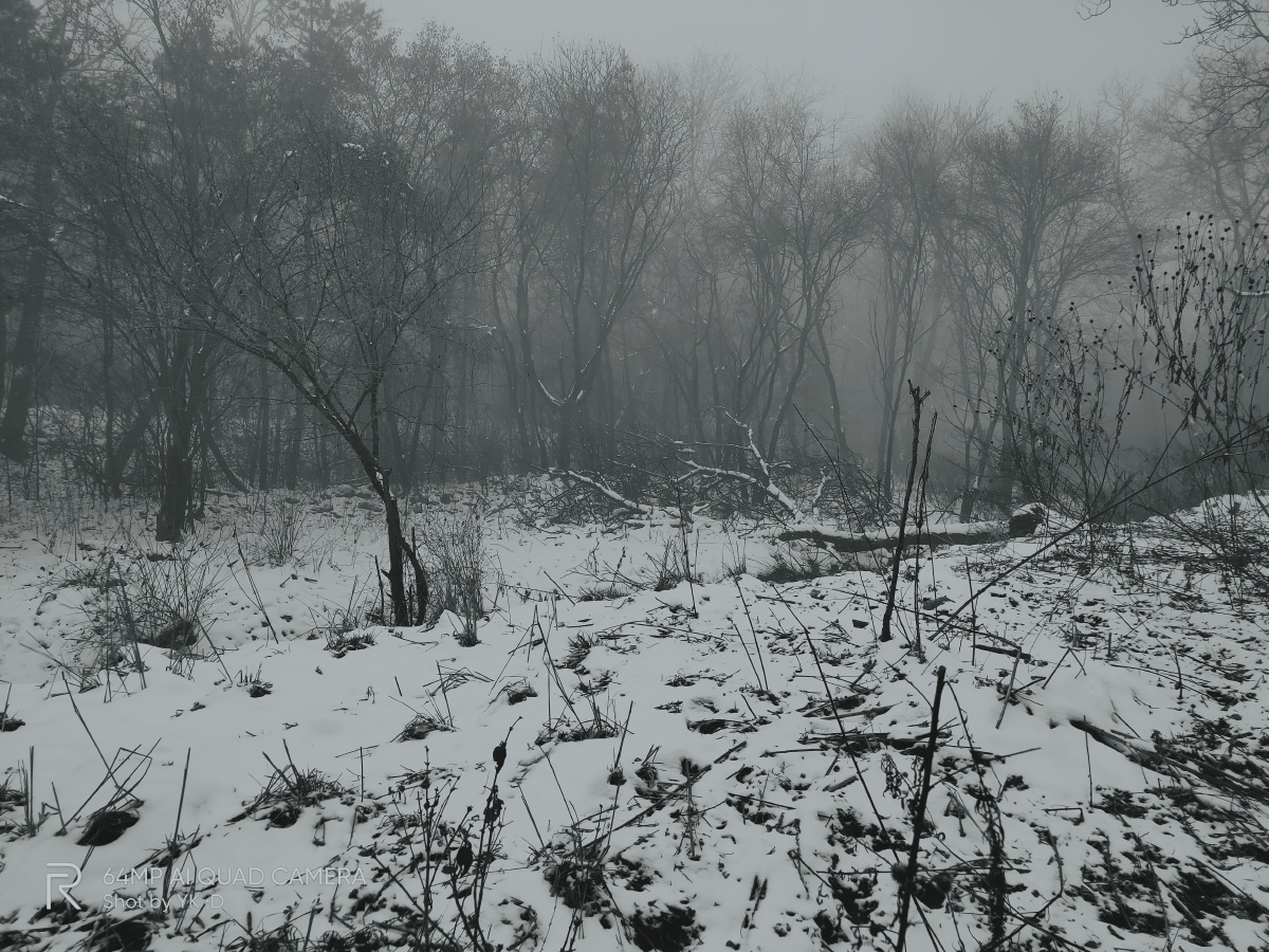 她若与你同淋雪此生也算共白头