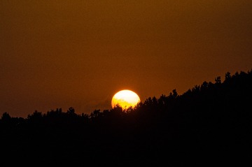 118072