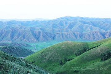 IMG_1190_副本