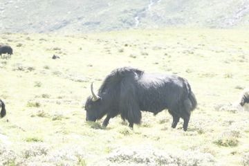 DSC00018