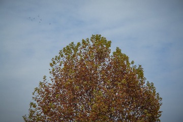 _DSC0759