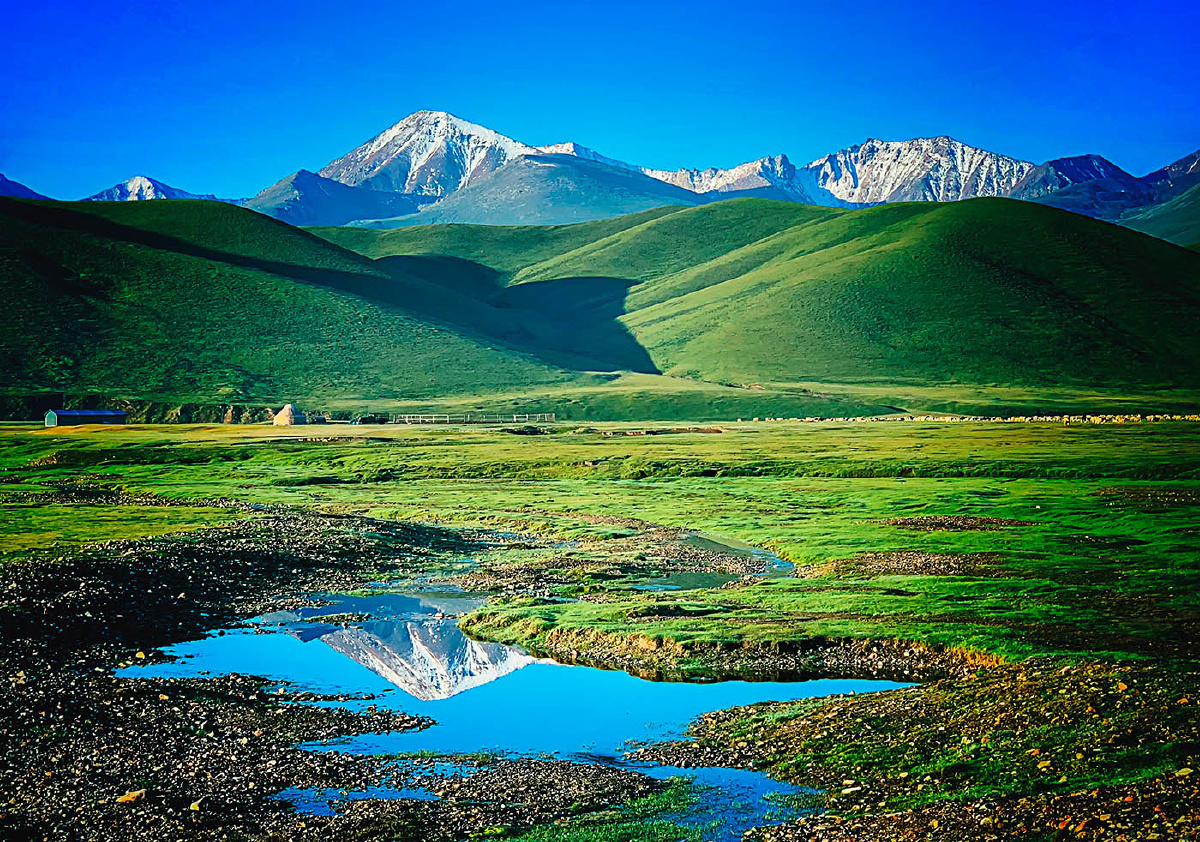 伊犁草原之美蓝天雪山倒影草原