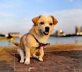 12925