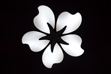 1250611