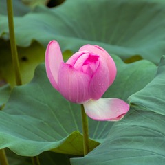 001