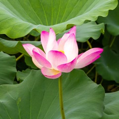 001