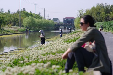 IMGP0987_