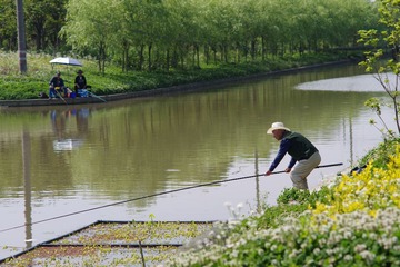 IMGP0990_