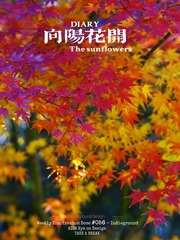 0FB312AE-9A0D-4442-8CBC-038483B849B3/L0/001